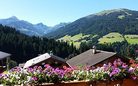 Hanslerfeld
