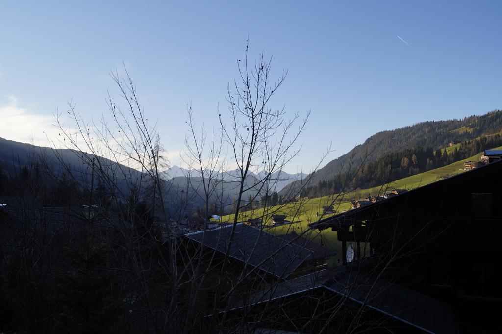 Hanslerfeld Alpbach Pokoj fotografie