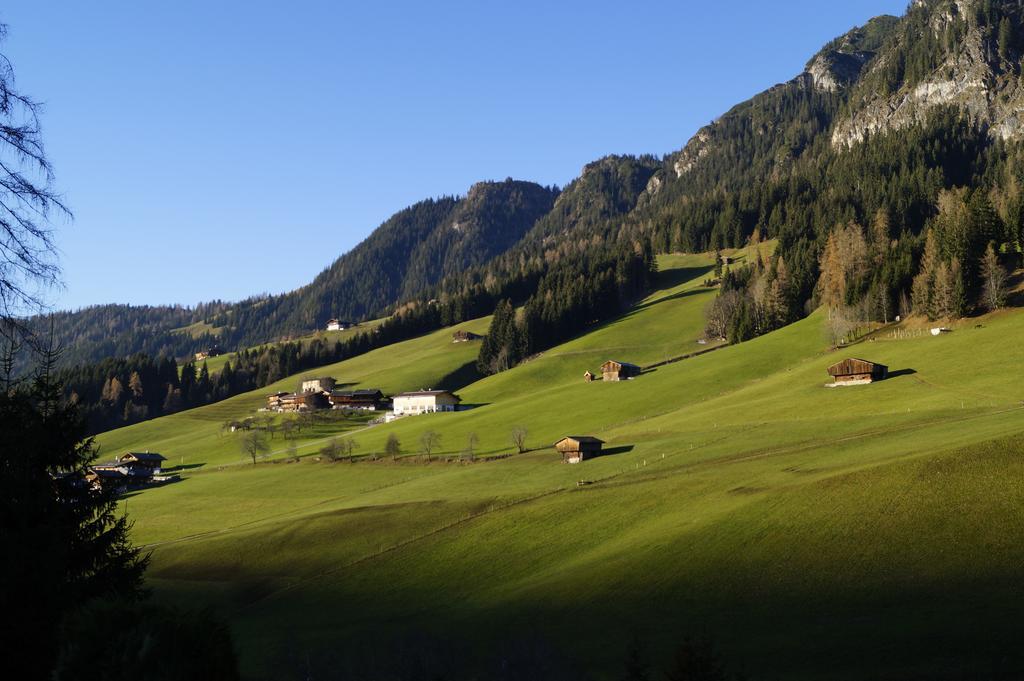 Hanslerfeld Alpbach Pokoj fotografie
