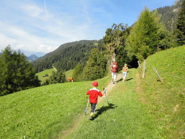 Hanslerfeld Alpbach Pokoj fotografie