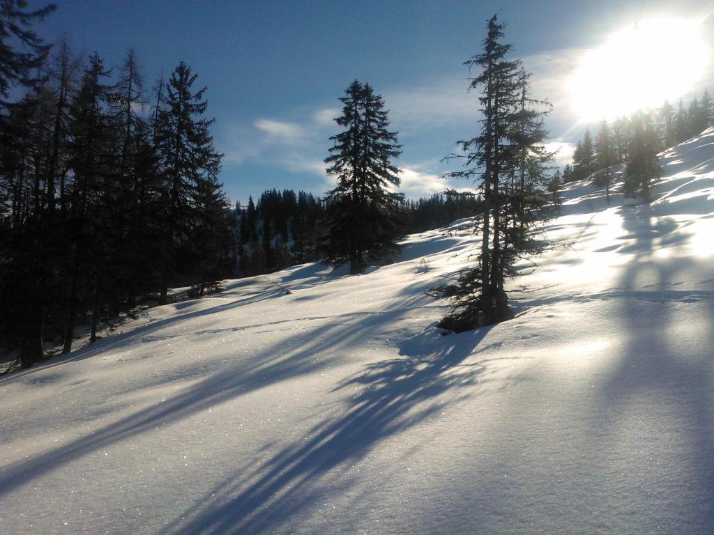 Hanslerfeld Alpbach Exteriér fotografie