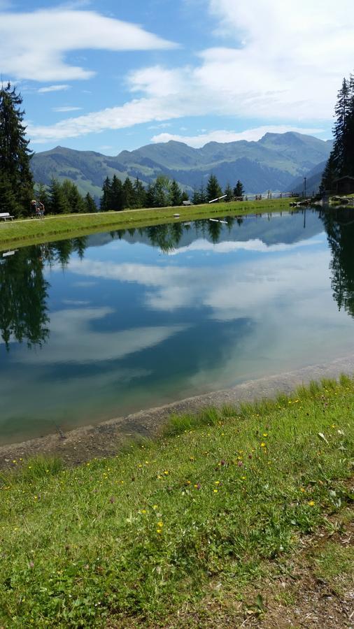 Hanslerfeld Alpbach Exteriér fotografie