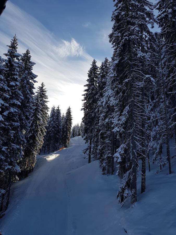 Hanslerfeld Alpbach Exteriér fotografie