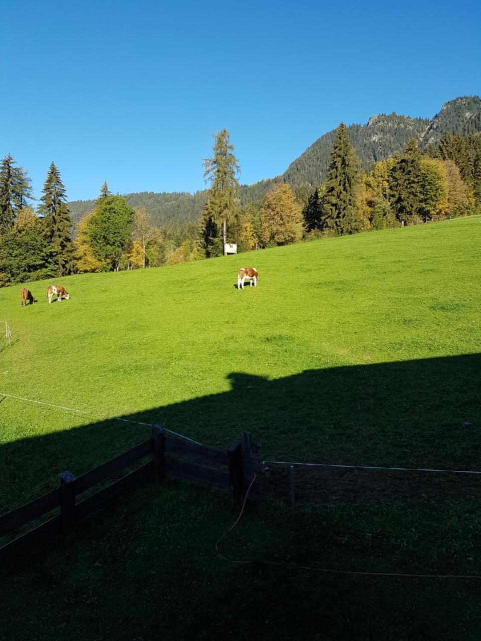 Hanslerfeld Alpbach Exteriér fotografie